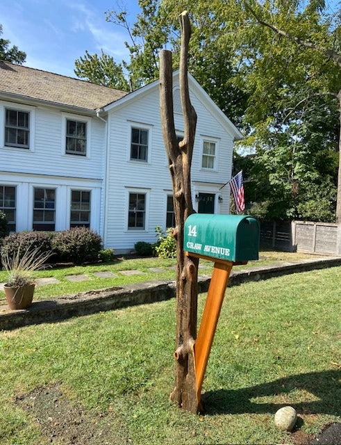 Green mailbox mounted on a handcrafted natural tree post at a home in Rowayton, Connecticut.