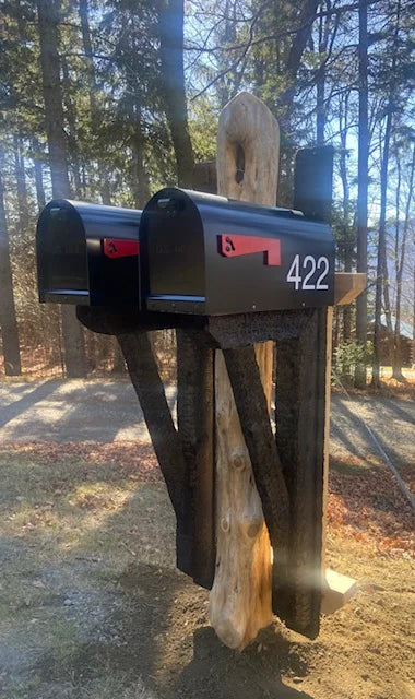 Double black mailbox design mounted on a handcrafted natural log post in Waitsfield, Vermont.