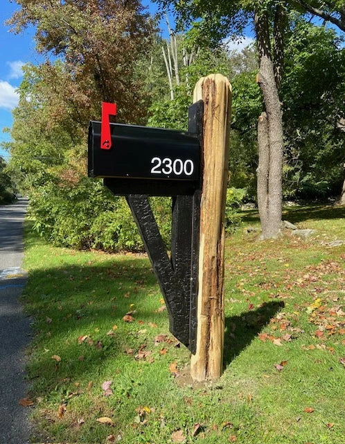 Black mailbox mounted on a rustic natural log post at a home in Fairfield, Connecticut.
