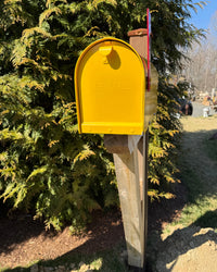 Side view of a yellow vandal-resistant mailbox with natural cedar detailing and a durable steel mounting post.