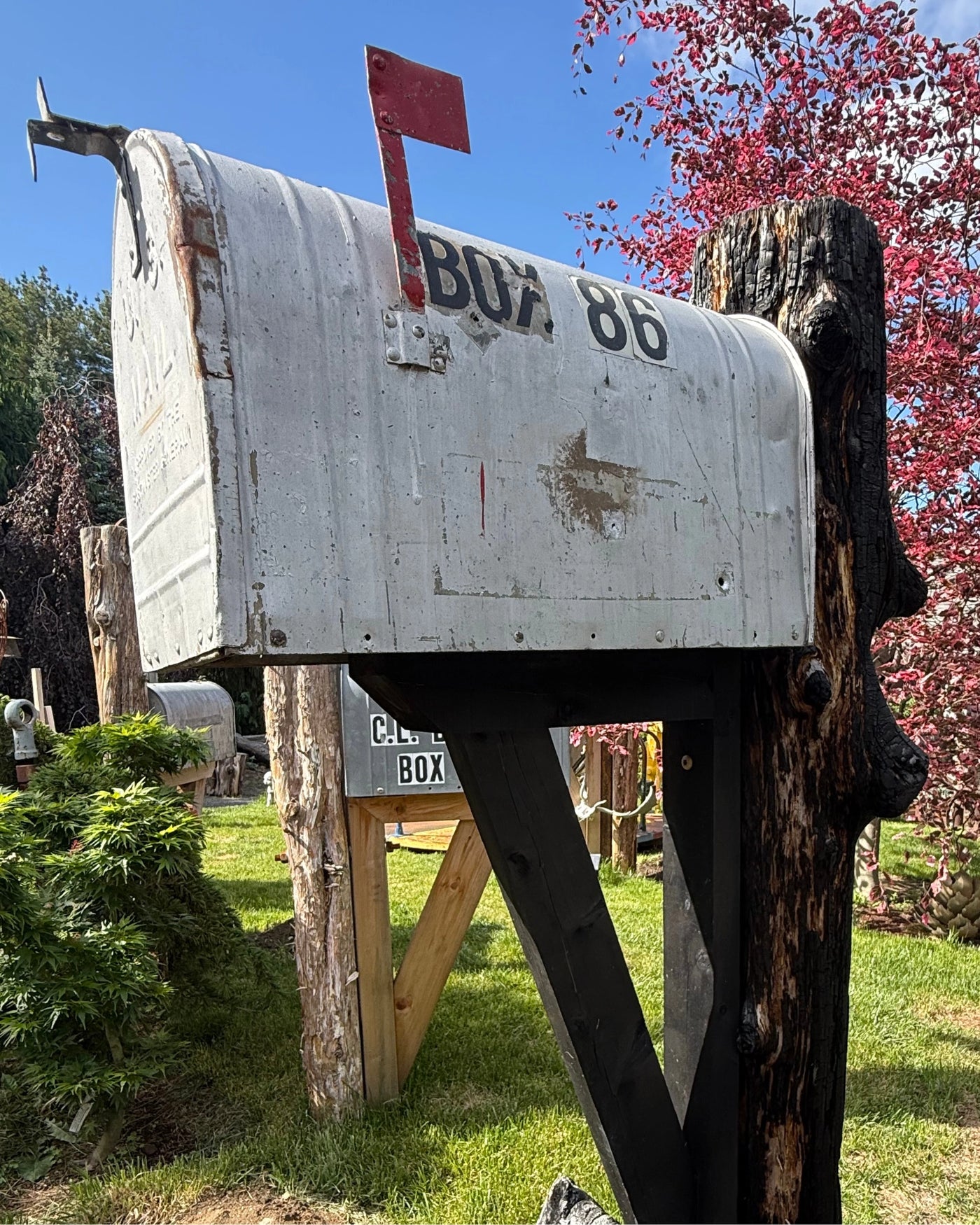 Front angled view of a rustic mailbox set with charred cedar textures, black-painted bracket assembly, and vintage-style XL mailbox.
